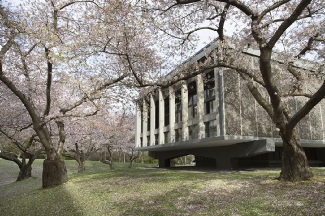 12 cherry blossom logie building